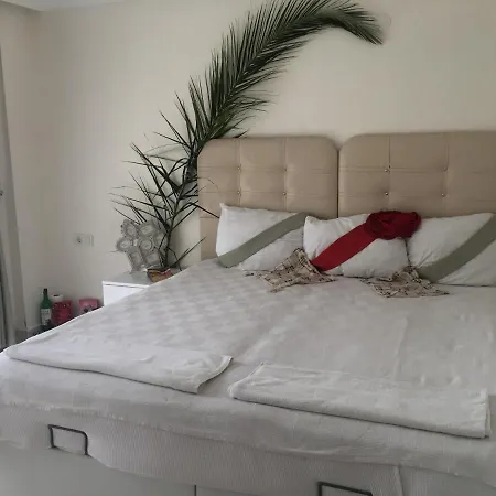 Orka World Guest house *