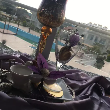 Orka World بيت ضيافة